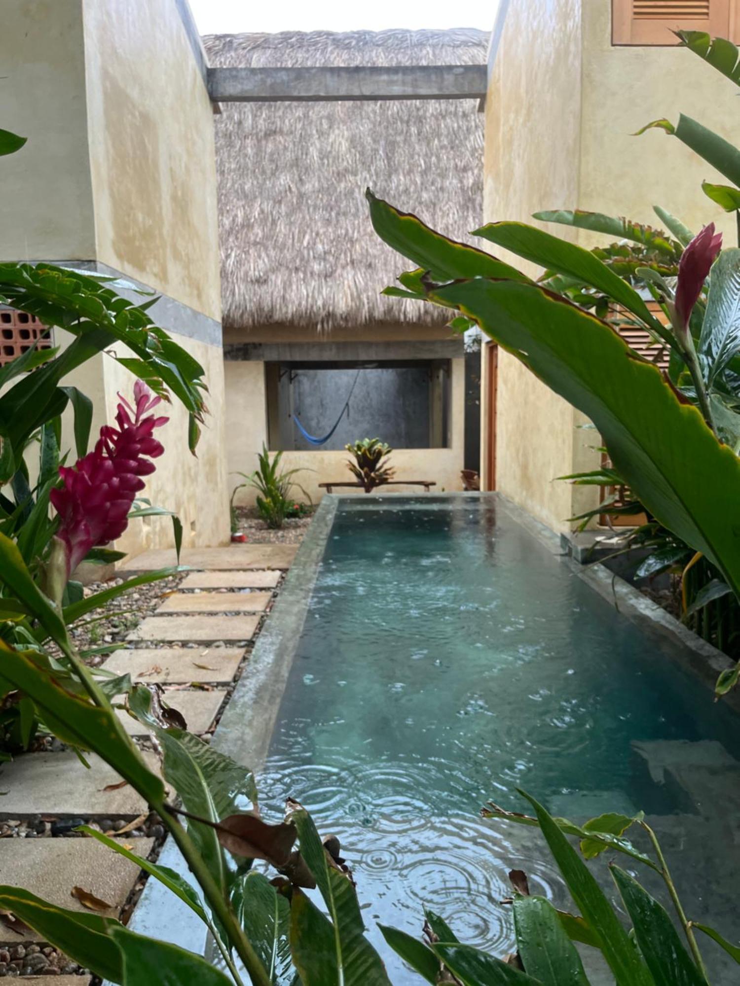 Agua De Coco Daire Puerto Escondido  Dış mekan fotoğraf