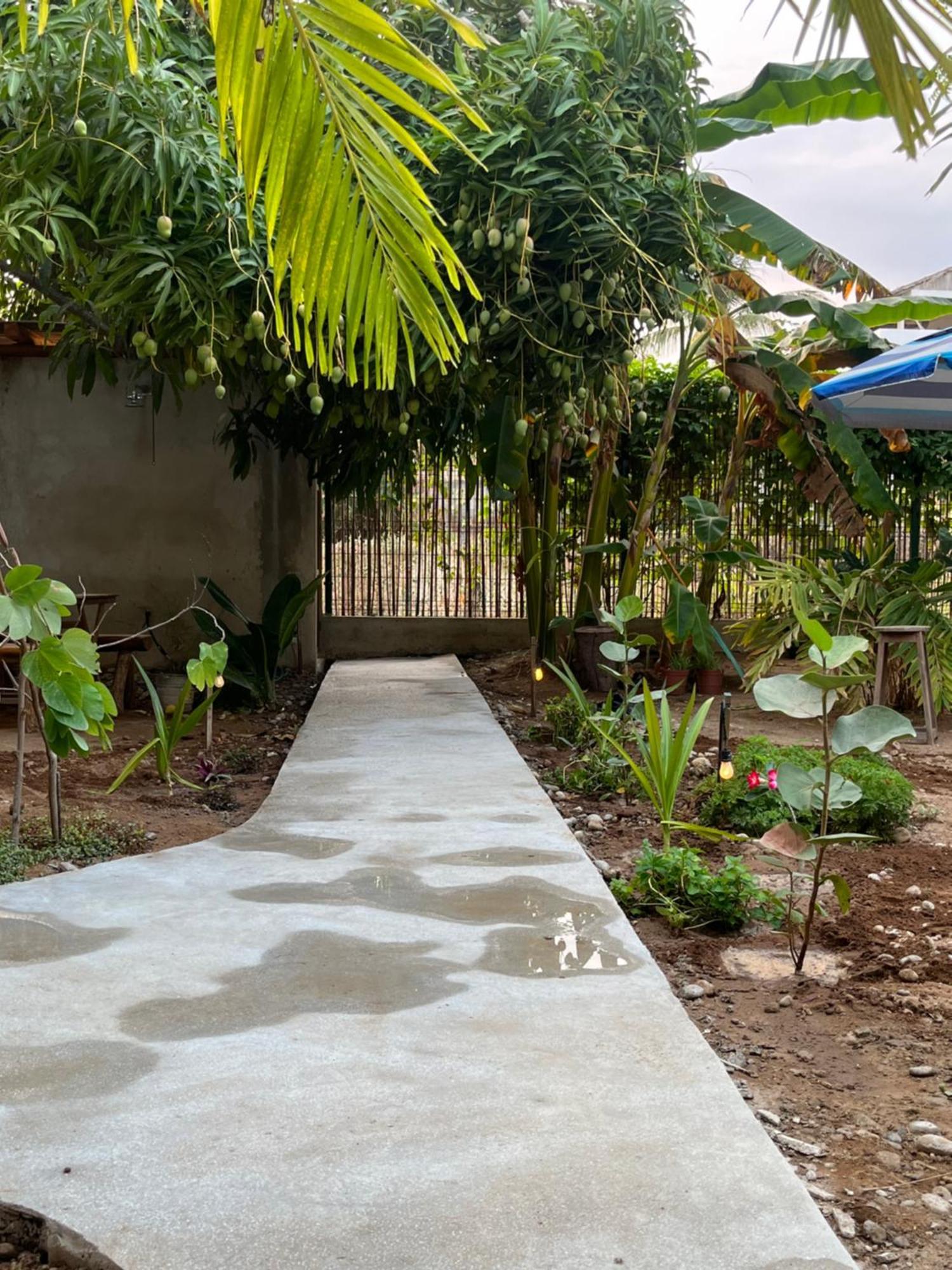 Agua De Coco Daire Puerto Escondido  Dış mekan fotoğraf