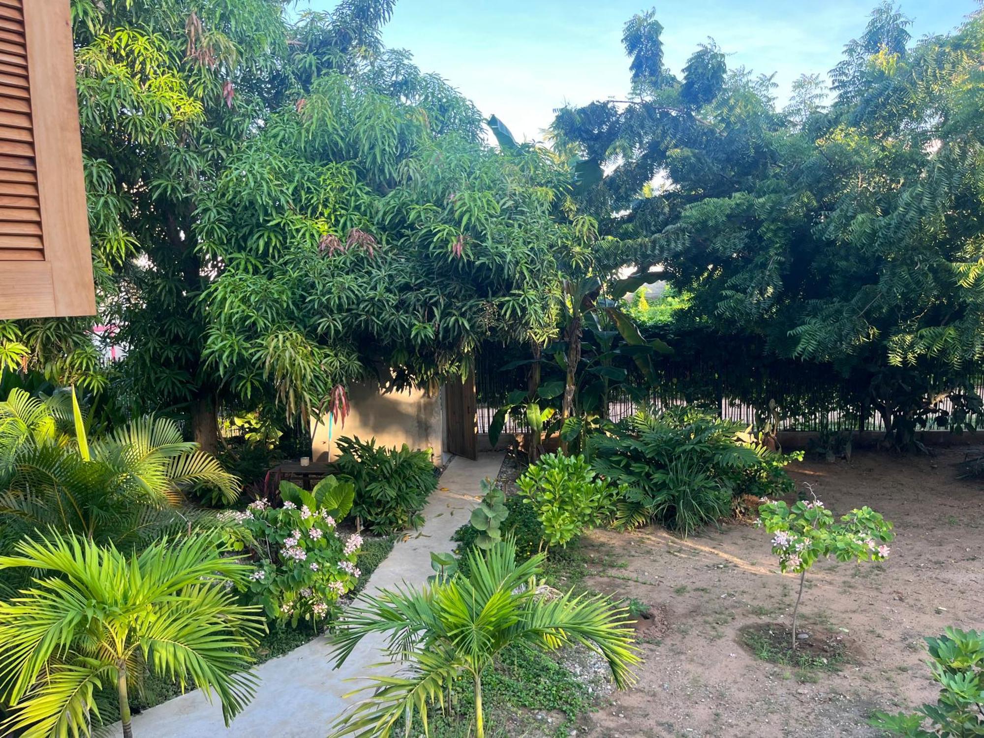 Agua De Coco Daire Puerto Escondido  Dış mekan fotoğraf